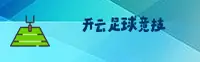 kaiyun足球比赛官方网站